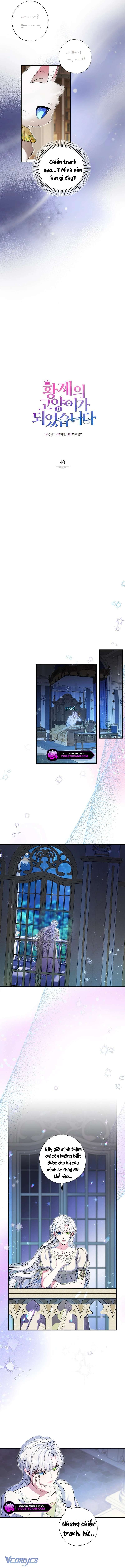 Trở Thành Miêu Nữ Của Hoàng Đế Chap 40 - Trang 4