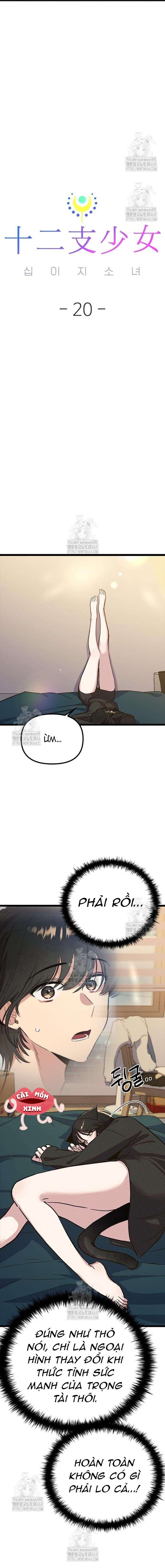 Thiếu Nữ 12 Con Giáp Chap 20 - Trang 2
