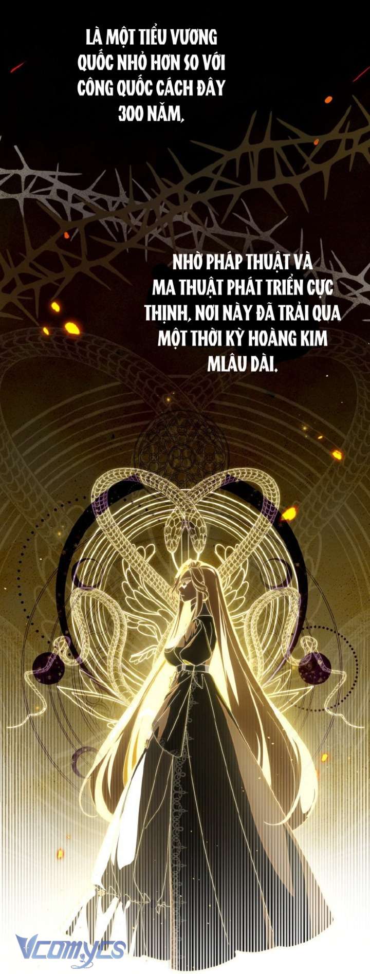 Người Vợ Hắc Ám Của Cậu Chồng Nhỏ Chap 25 - Trang 2