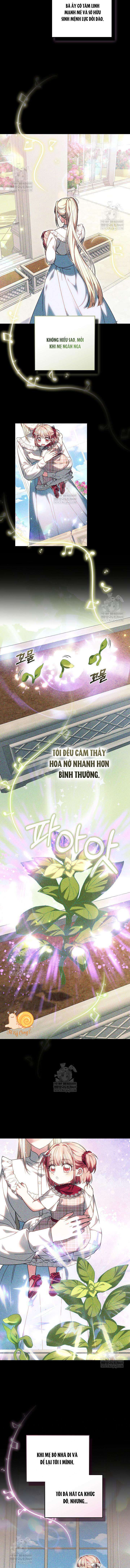 Tiểu Thư Mạnh Mẽ Muốn Trở Nên Yếu Đuối Chap 27 - Trang 2