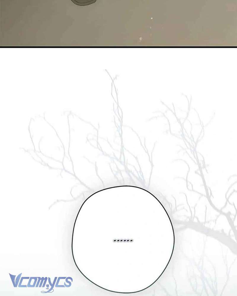 Các Nam Chính Đã Bị Nữ Phụ Cướp Mất Chap 40 - Trang 3