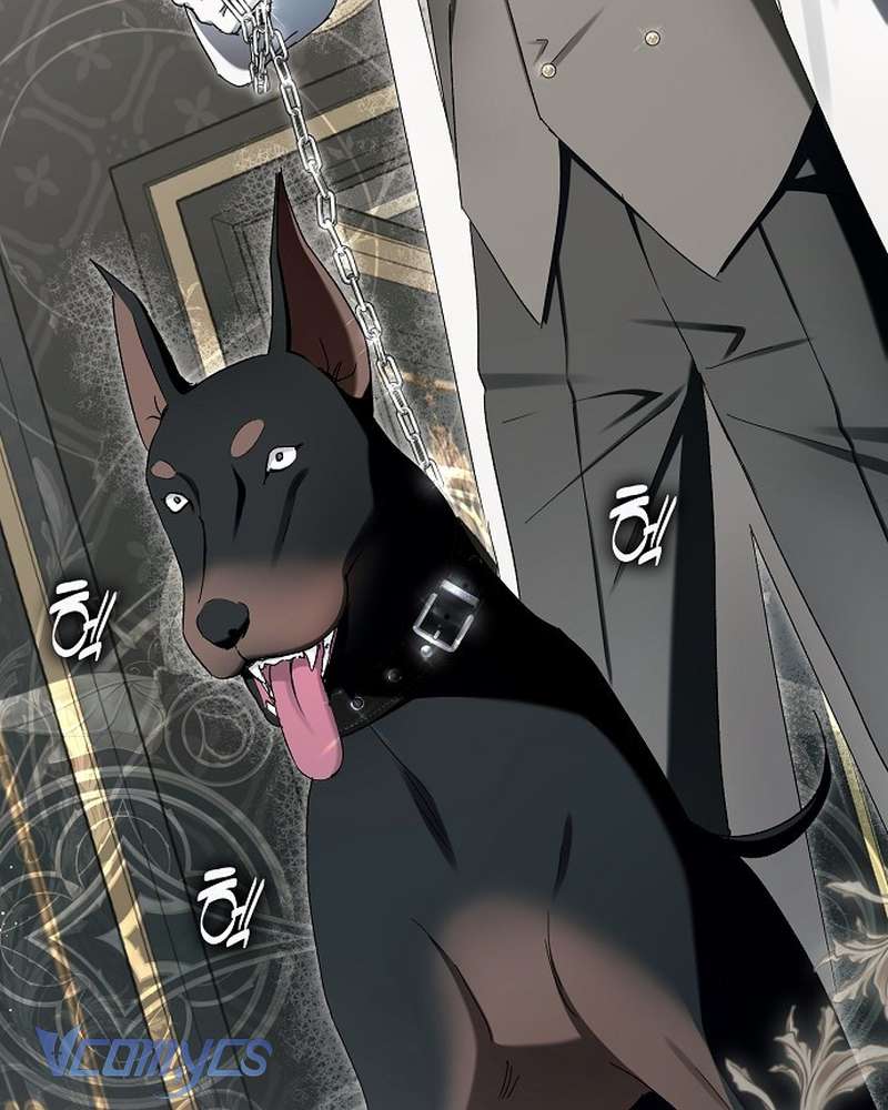 Các Nam Chính Đã Bị Nữ Phụ Cướp Mất Chap 65 - Trang 2