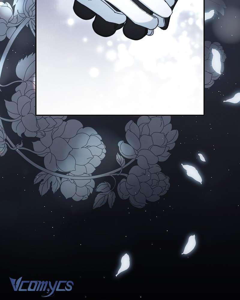 Các Nam Chính Đã Bị Nữ Phụ Cướp Mất Chap 69 - Trang 2