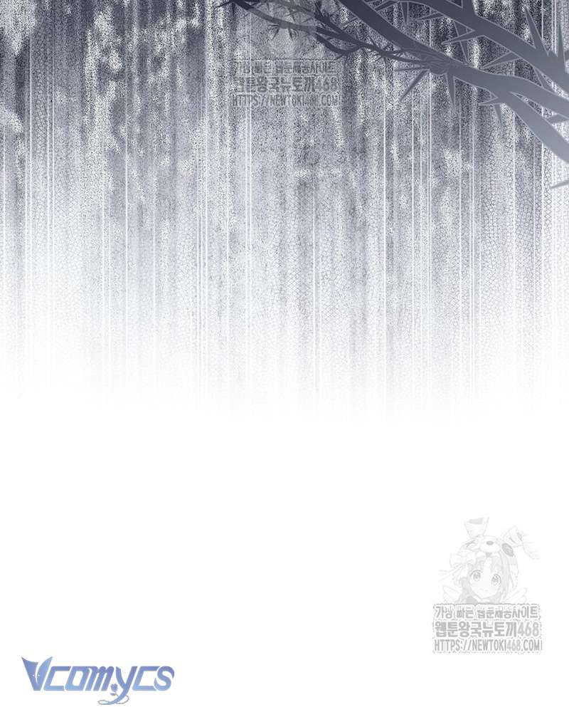 Các Nam Chính Đã Bị Nữ Phụ Cướp Mất Chap 66 - Trang 2