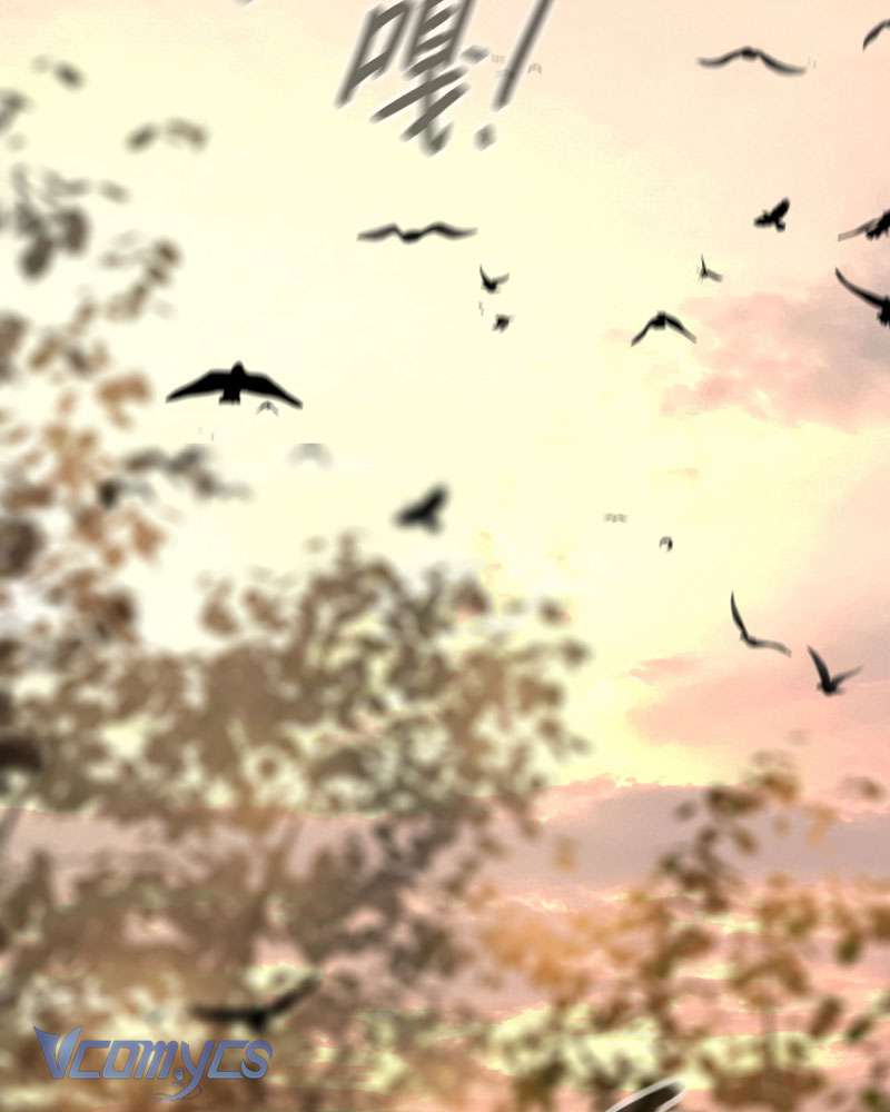 Ác Chi Hoàn Chap 70 - Trang 3