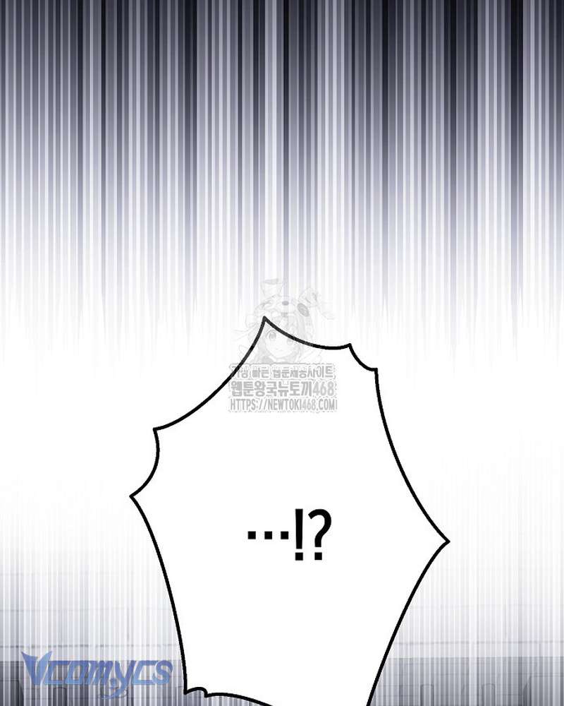 Các Nam Chính Đã Bị Nữ Phụ Cướp Mất Chap 69 - Trang 2