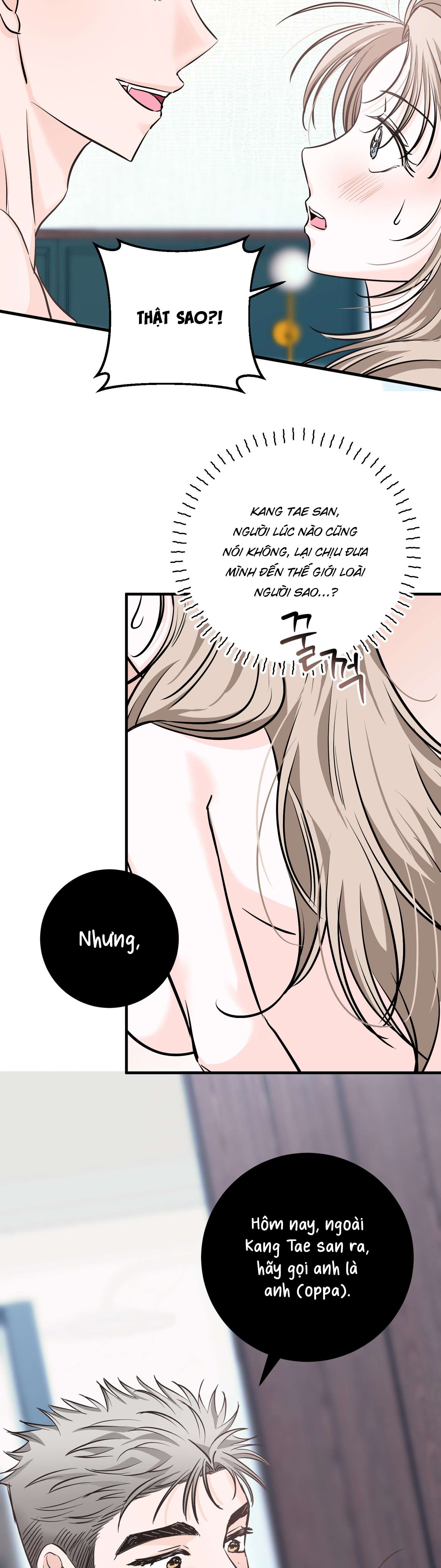 [ 18+ ] Con sói nguy hiểm! Chap 13 - Trang 2