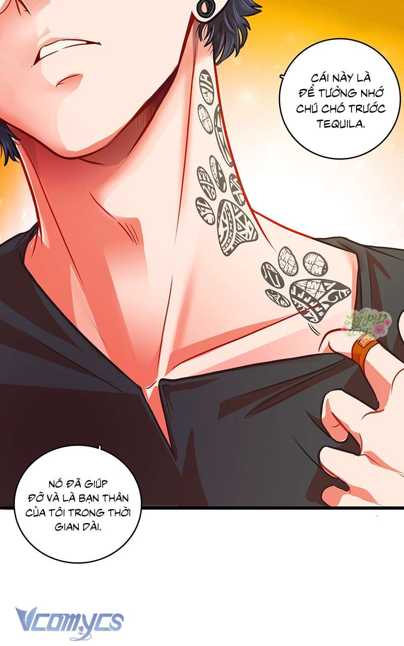 Chú Cún Dạo Bước Cùng Anh Chap 11 - Trang 2