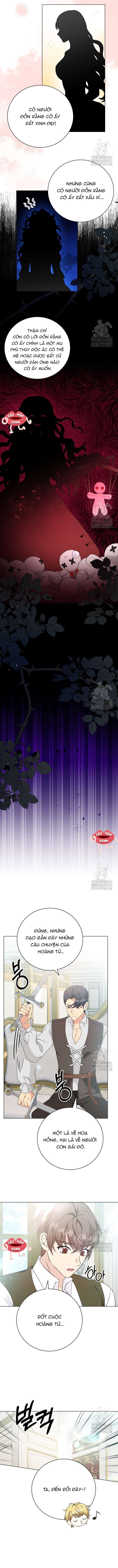 Khi Người Mẹ Kế Tham Vọng Làm Bá Chủ Hậu Cung Chap 22 - Trang 4