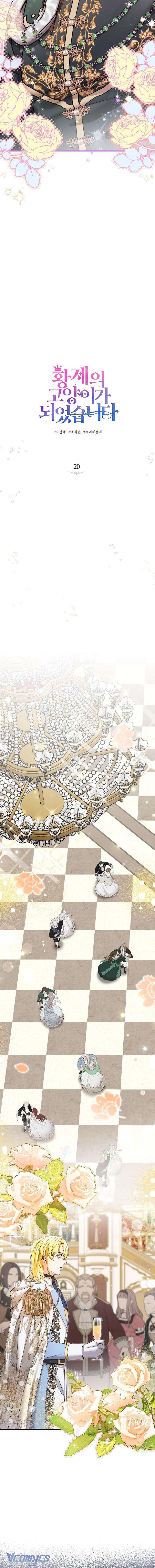 Trở Thành Miêu Nữ Của Hoàng Đế Chapter 20 - Next Chapter 21