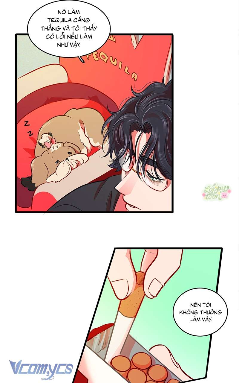 Chú Cún Dạo Bước Cùng Anh Chap 11 - Trang 2