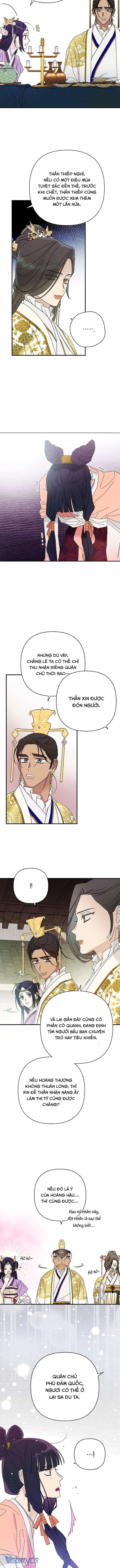 Quốc Hôn Chapter 54 - Trang 4