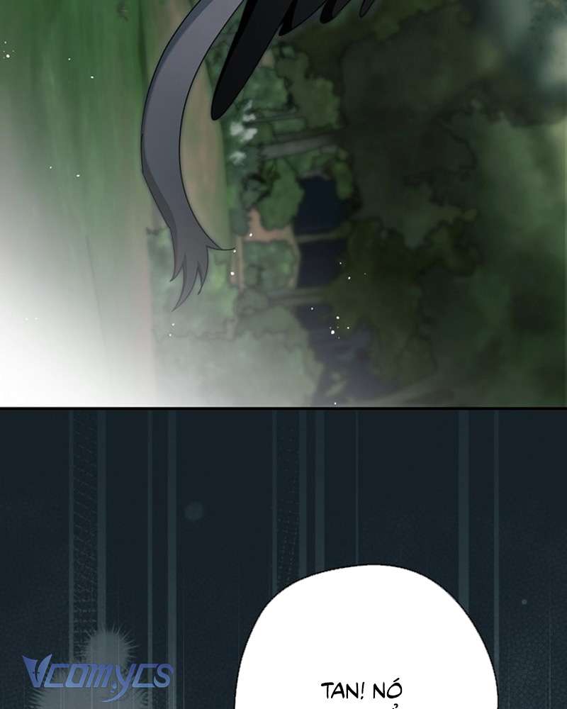 Các Nam Chính Đã Bị Nữ Phụ Cướp Mất Chap 60 - Trang 3