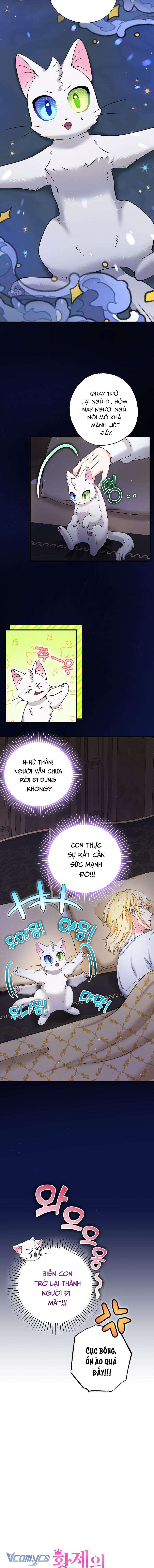 Trở Thành Miêu Nữ Của Hoàng Đế Chapter 21 - Trang 4