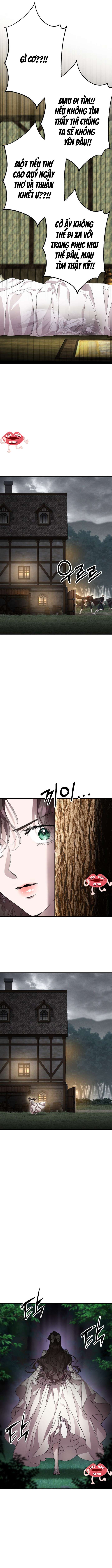 Cuộc Hôn Nhân Bị Bắt Cóc Xuyên Thời Gian Của Hoàng Hậu Chap 31 - Trang 2