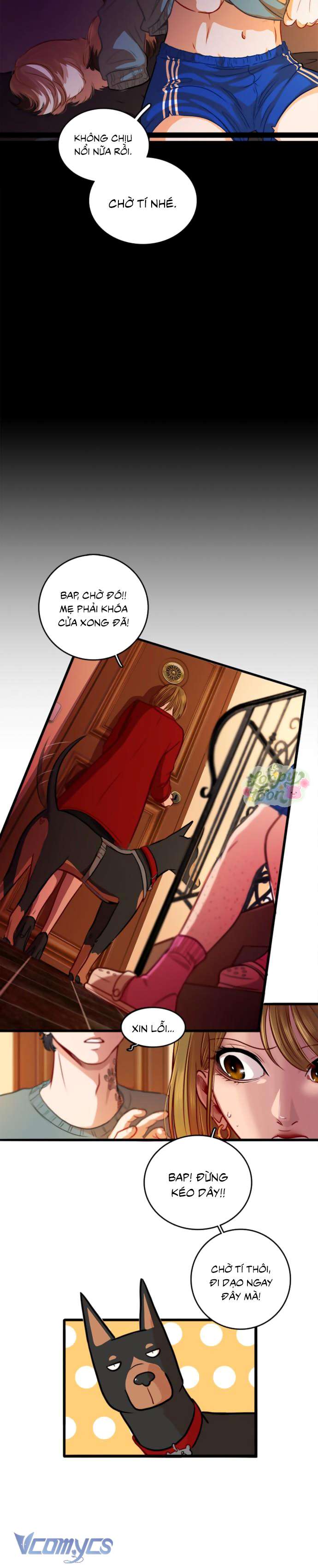 Chú Cún Dạo Bước Cùng Anh Chap 1 - Trang 2