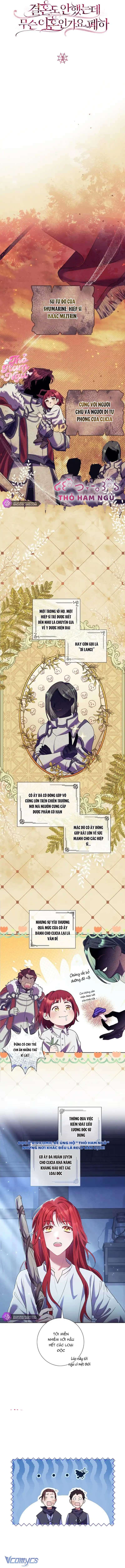 Sao Tôi Có Thể Li Hôn Khi Còn Chưa Kết Hôn Đây, Thưa Bệ Hạ Chap 3 - Trang 2