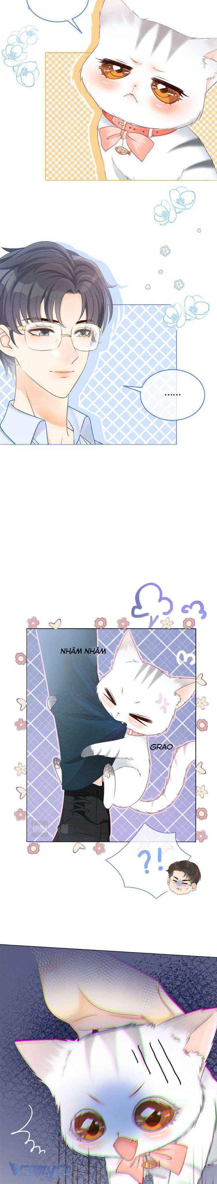 Cô Ấy Lại Lên Hotsearch Rồi! Chap 13 - Trang 2