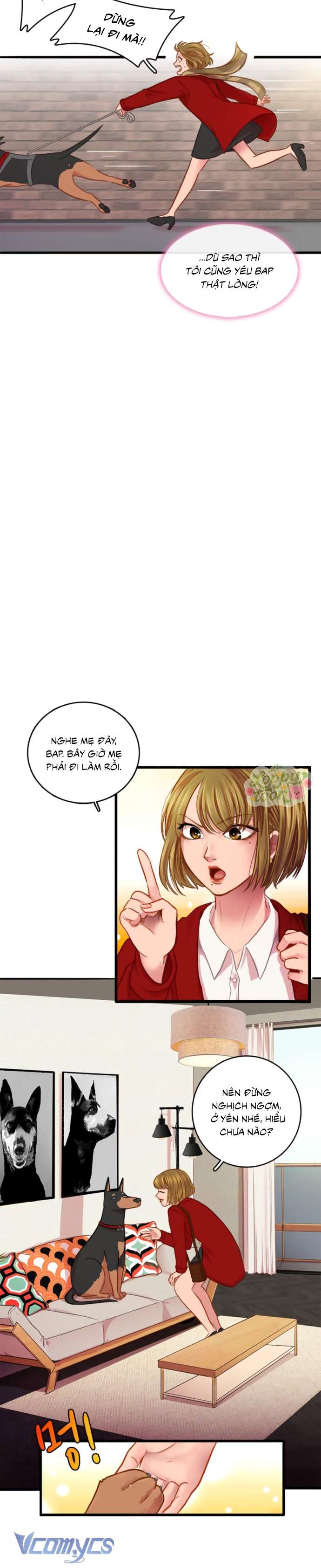 Chú Cún Dạo Bước Cùng Anh Chap 1 - Trang 2