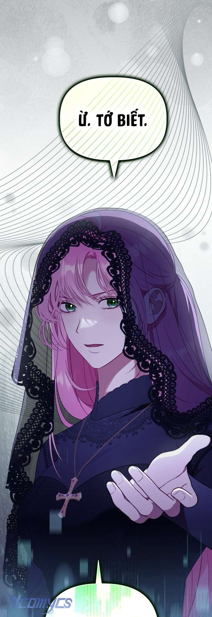 Sự Điều Trị Đặc Biệt Của Tinh Linh Chap 117 - Trang 3