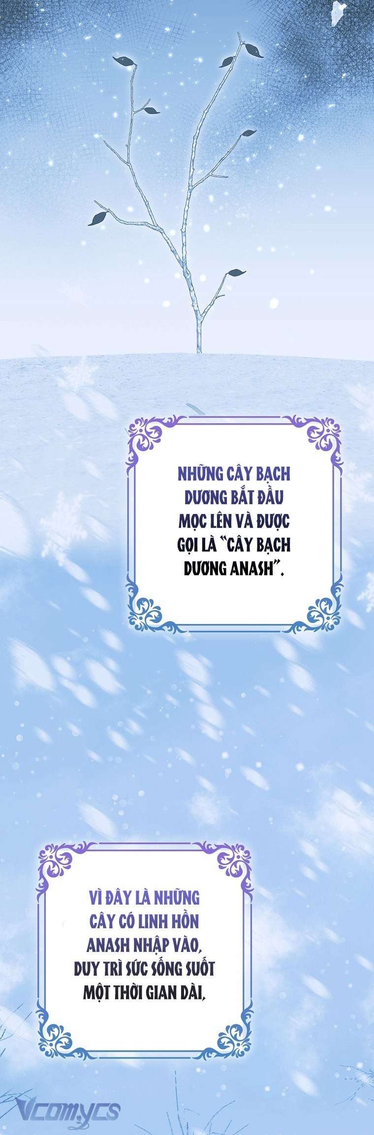 Công Chúa Bạch Hổ Không Có Nguy Hiểm Nha! Chap 5 - Trang 2