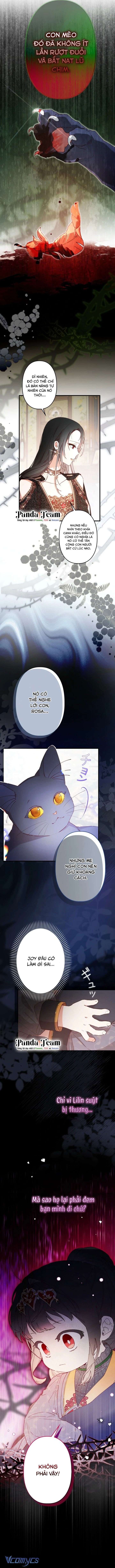 Kiếp Này Em Sẽ Không Sống Dưới Cái Bóng Của Người Chị Song Sinh Chap 7 - Trang 3