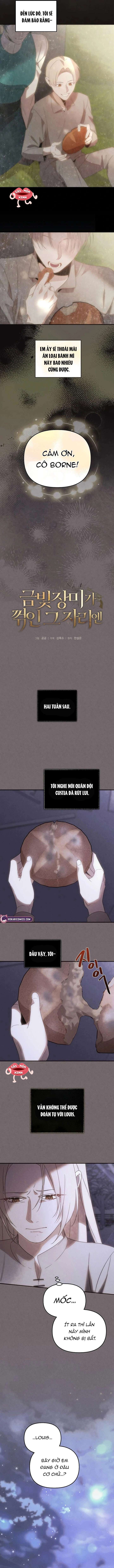 Nơi Đóa Hồng Vàng Úa Tàn Chap 28 - Trang 2