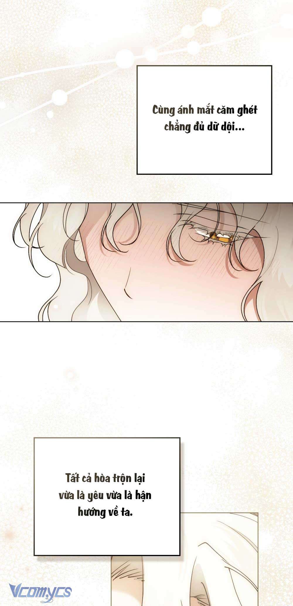 Hôn Nhân Khế Ước Chap 56 - Trang 3