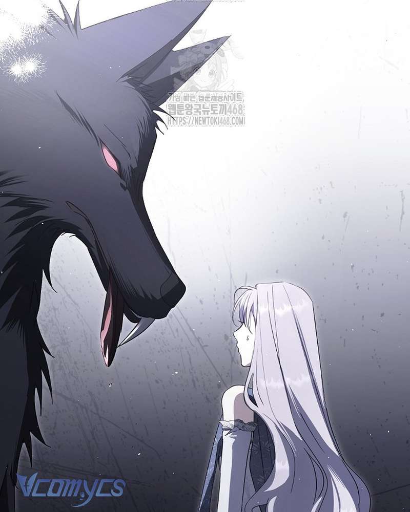 Các Nam Chính Đã Bị Nữ Phụ Cướp Mất Chap 70 - Trang 2