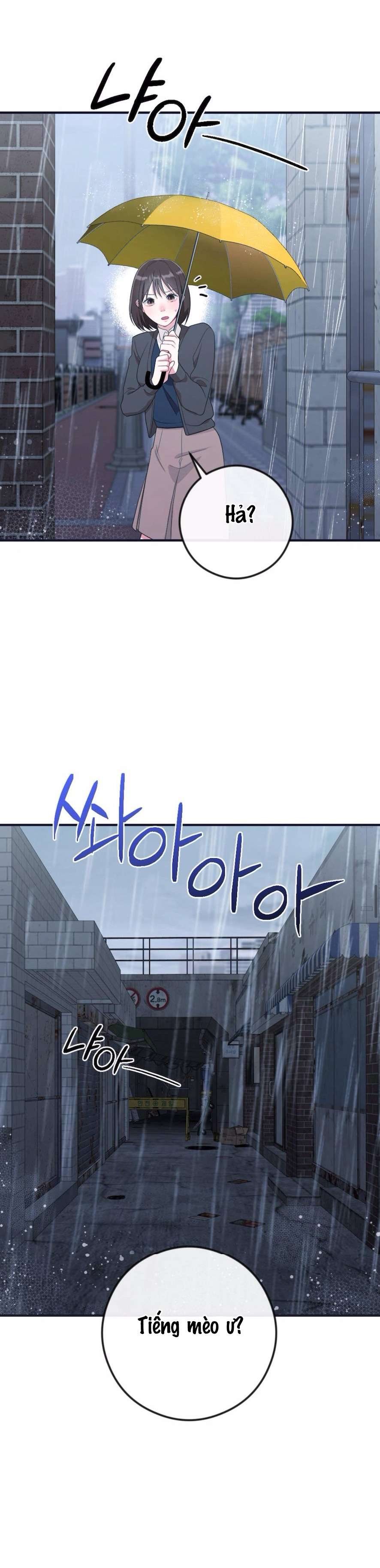 Chiếm Lấy Em Chap 4 - Trang 3