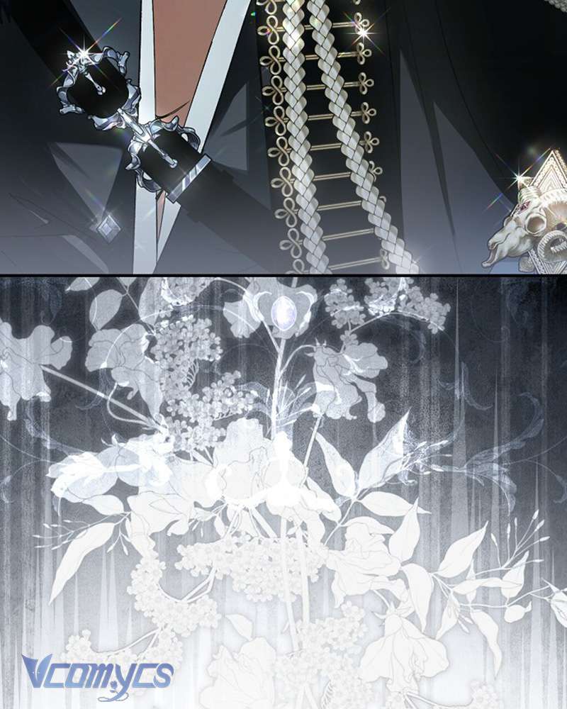 Các Nam Chính Đã Bị Nữ Phụ Cướp Mất Chap 61 - Trang 3