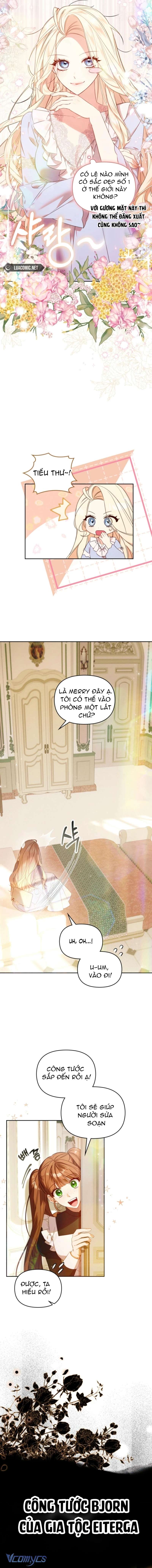 Top 100 Quý Cô Chap 1 - Trang 2