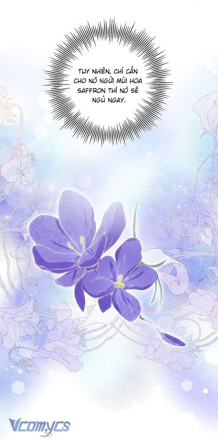 [PNT] Phía Sau Mặt Nạ Của Nam Chính Hiền Lành Chap 13 - Trang 2