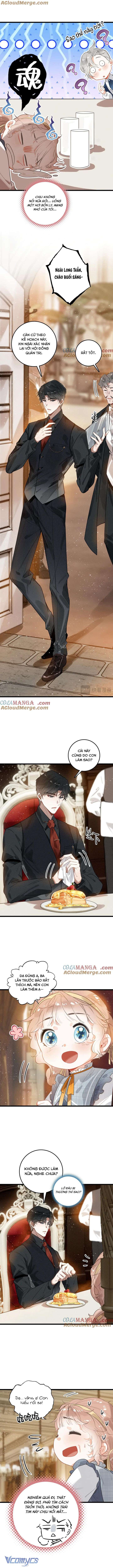 Sau Khi Xuyên Không Thành Tiểu Bảo Bảo, Cả Nhà Phản Diện Đều Muốn Giết Tôi! Chap 9 - Trang 2