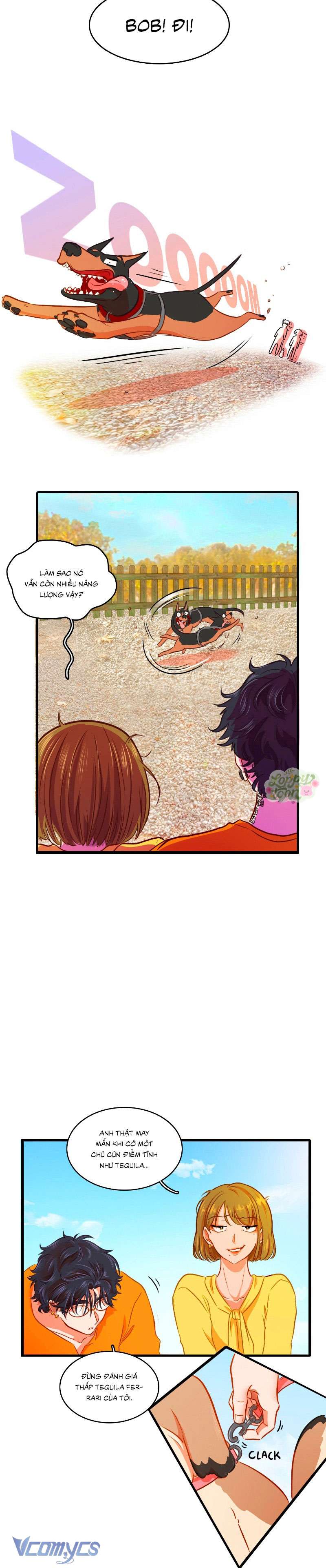 Chú Cún Dạo Bước Cùng Anh Chap 6 - Trang 2