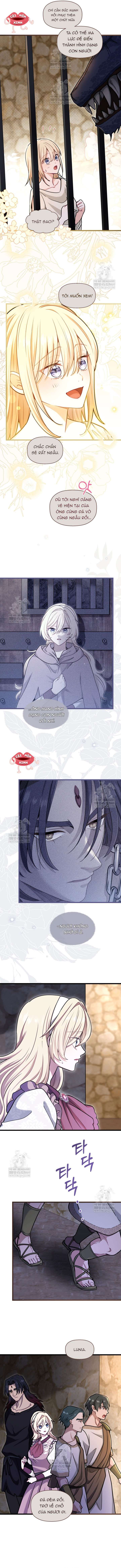 Bệ Hạ, Xin Hãy Quên Tôi Đi Chap 58 - Trang 2