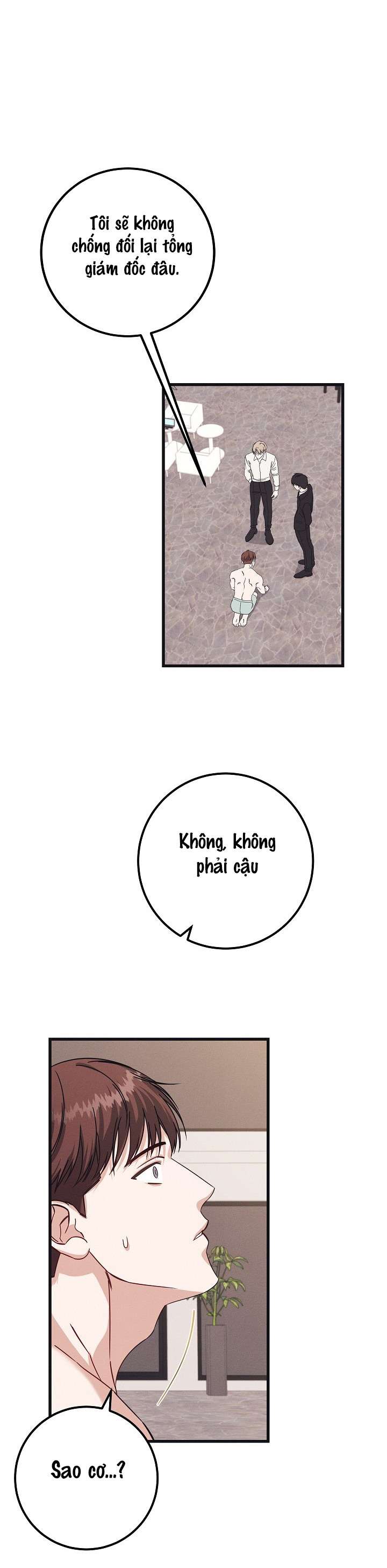 Quan Hệ Đối Tác Rắc Rối Chap 2 - Trang 2