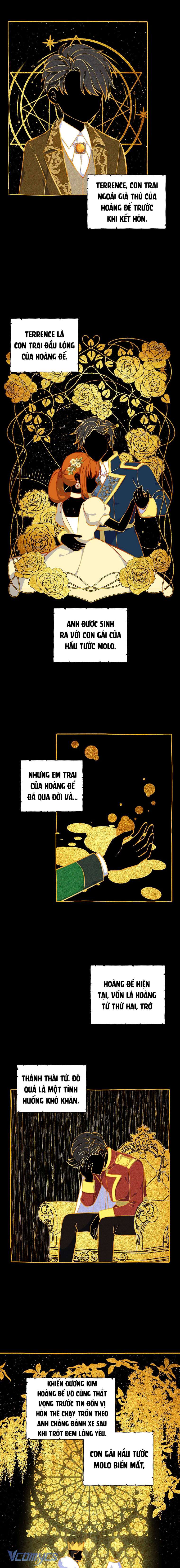 Tôi sẽ ly hôn với anh trai nữ chính Chap 6 - Trang 2