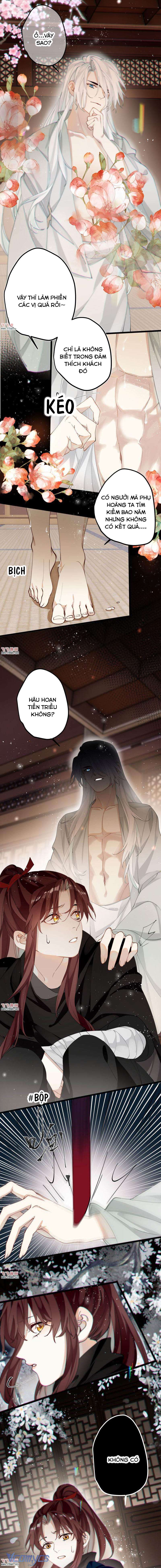 Công Chúa Pháo Hôi Muốn Tùy Tiện Đến Cuối Cùng Chap 39 - Trang 2
