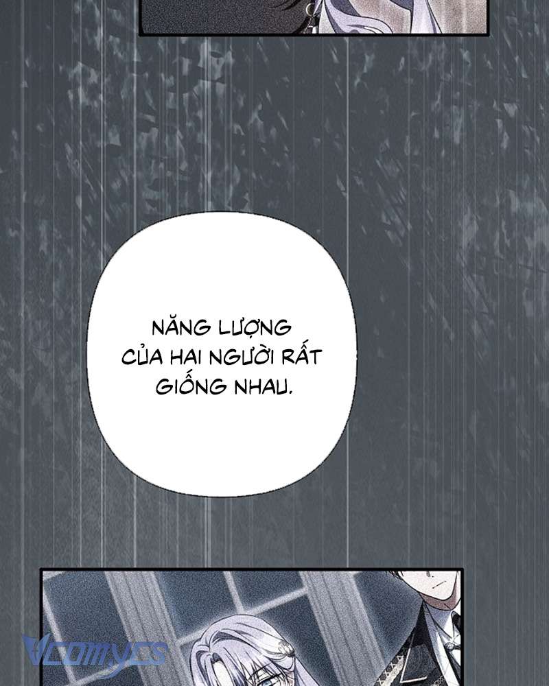 Các Nam Chính Đã Bị Nữ Phụ Cướp Mất Chap 58 - Trang 3