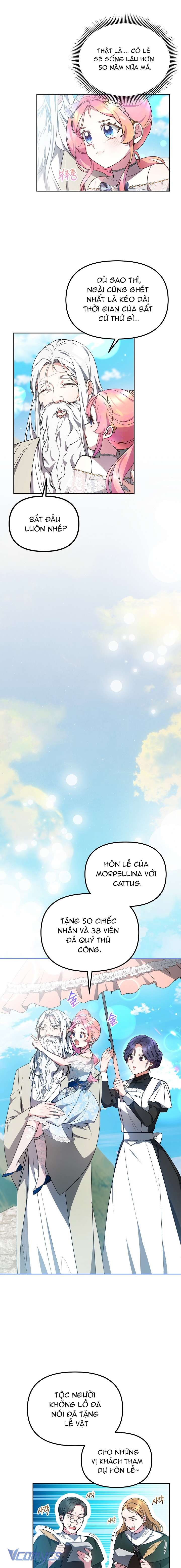 [PNT] Rồng Con Thuần Hóa Những Kẻ Điên Rồ Chap 30 - Trang 2