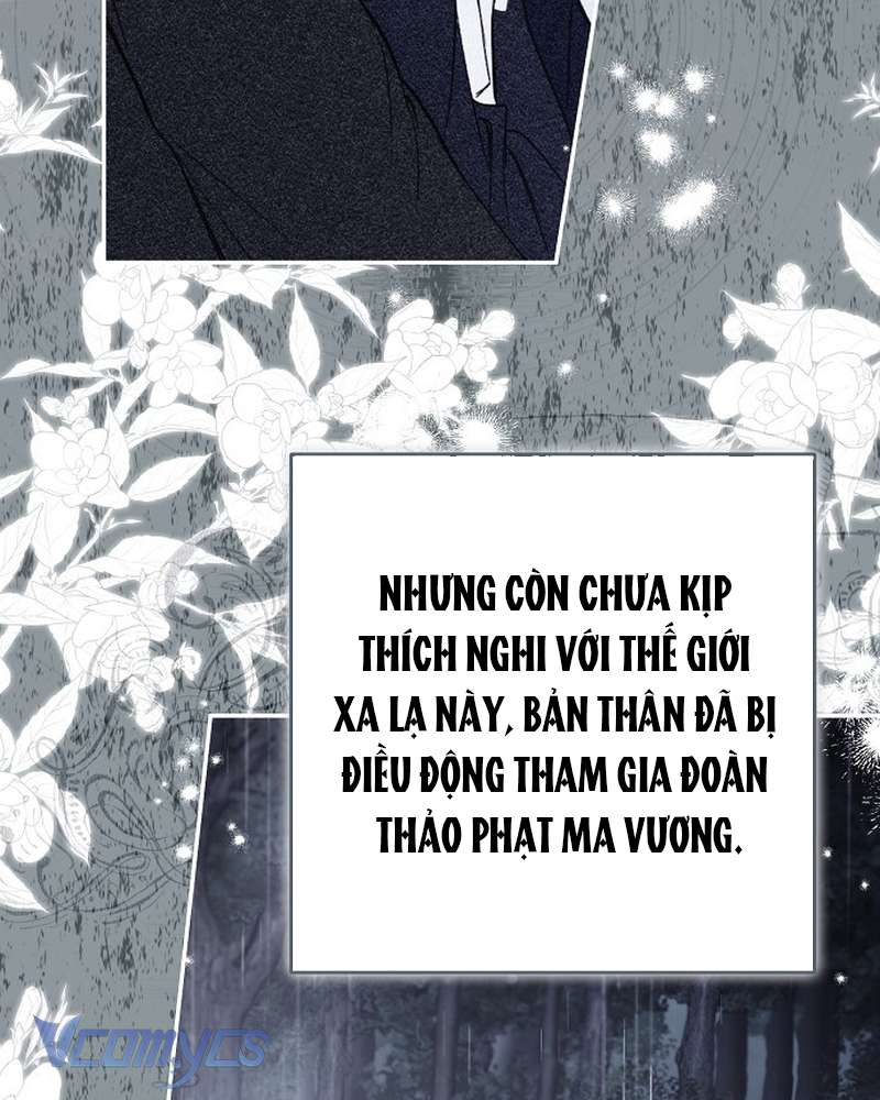 Các Nam Chính Đã Bị Nữ Phụ Cướp Mất Chap 70 - Trang 2