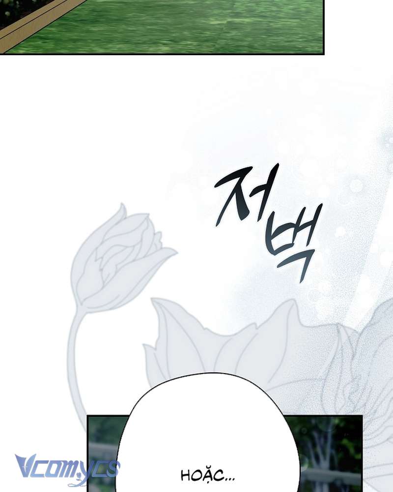 Các Nam Chính Đã Bị Nữ Phụ Cướp Mất Chap 66 - Trang 2