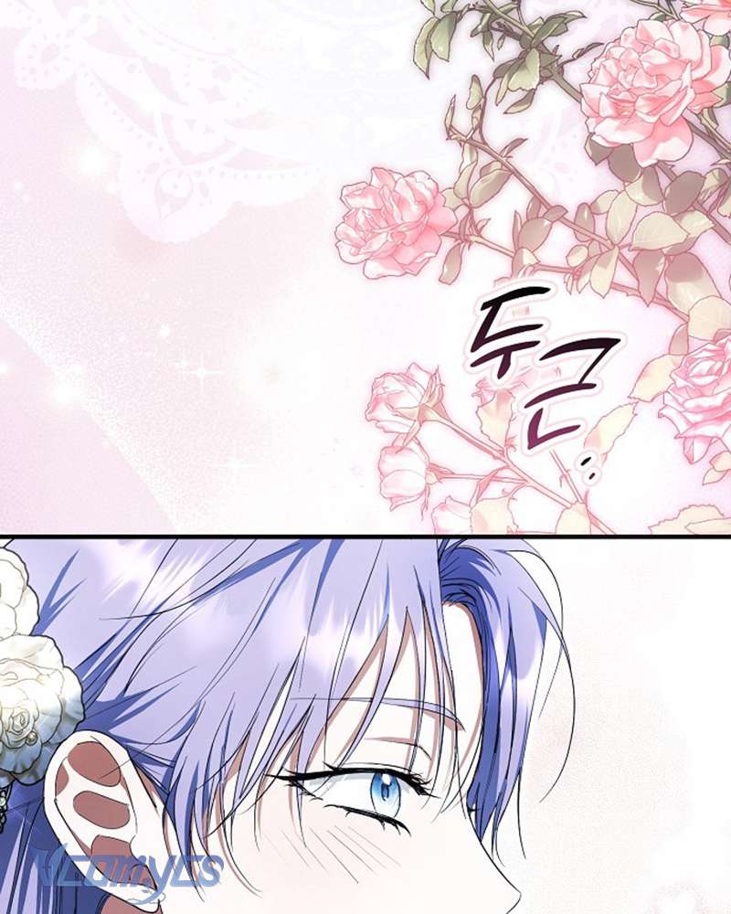 Các Nam Chính Đã Bị Nữ Phụ Cướp Mất Chap 51 - Trang 3