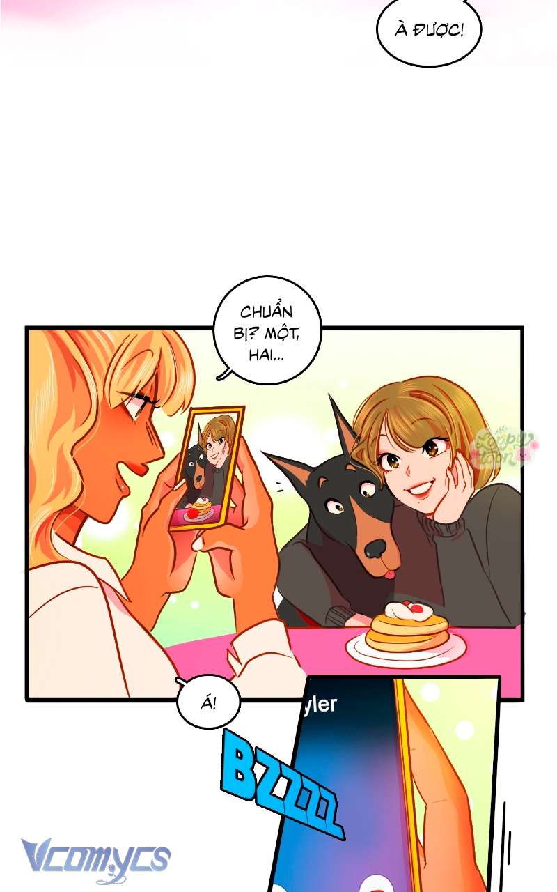 Chú Cún Dạo Bước Cùng Anh Chap 7 - Trang 2