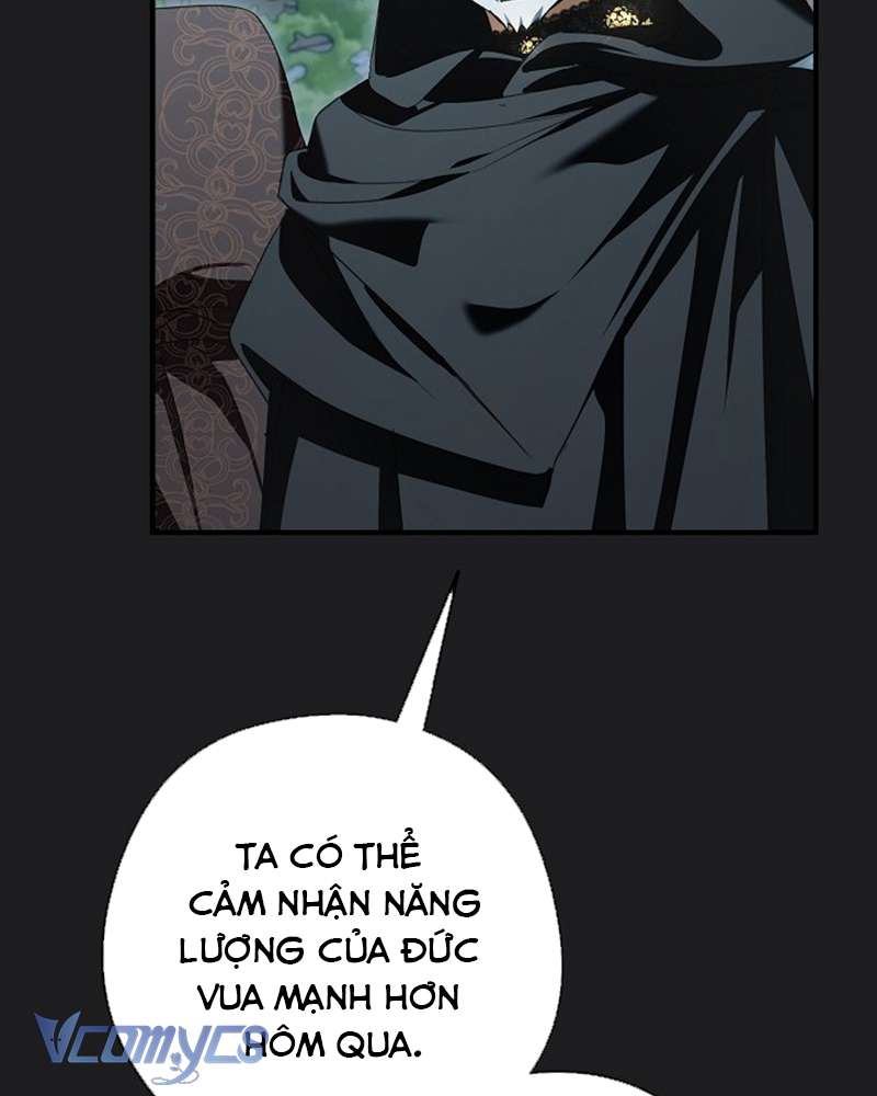 Các Nam Chính Đã Bị Nữ Phụ Cướp Mất Chap 41 - Trang 3