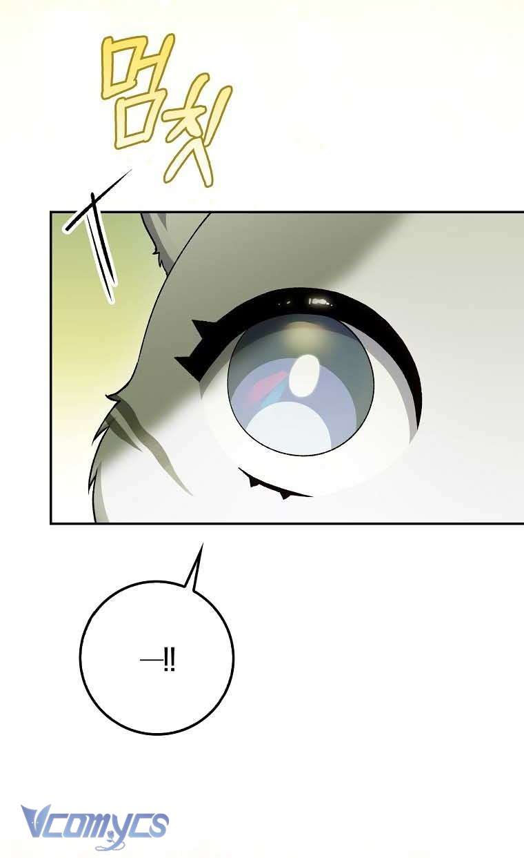 Công Chúa Bạch Hổ Không Có Nguy Hiểm Nha! Chap 15 - Trang 2