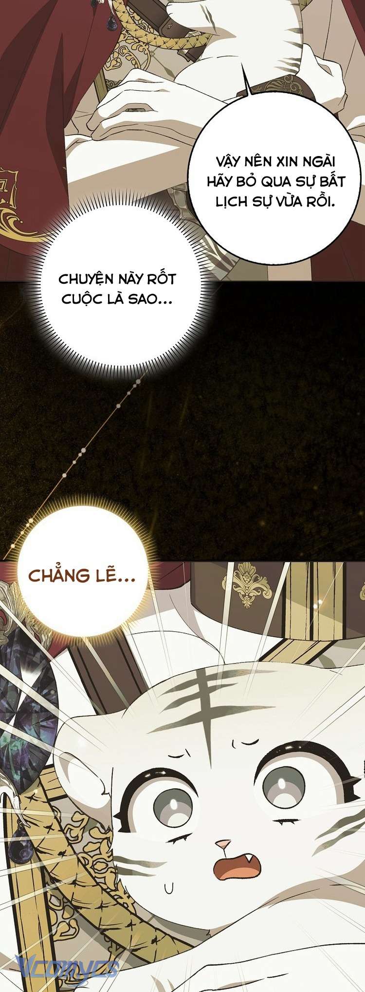 Công Chúa Bạch Hổ Không Có Nguy Hiểm Nha! Chap 10 - Trang 2