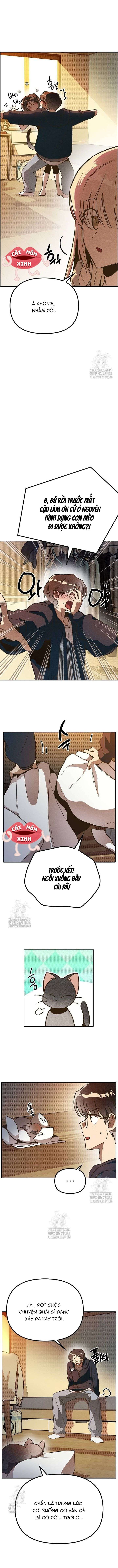 Thiếu Nữ 12 Con Giáp Chap 2 - Next Chap 3