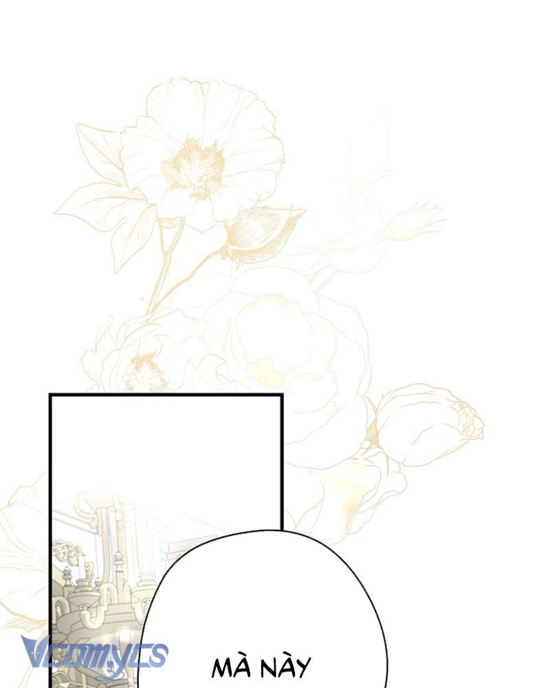 Các Nam Chính Đã Bị Nữ Phụ Cướp Mất Chap 52 - Trang 3